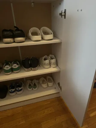 Zapatero 2 puertas blanco