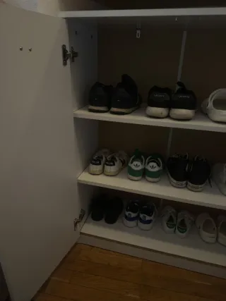 Zapatero 2 puertas blanco