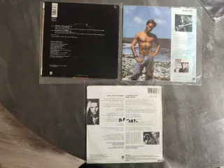 STING: lote 10 vinilos single