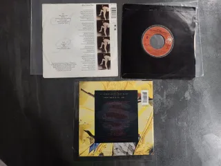 STING: lote 10 vinilos single