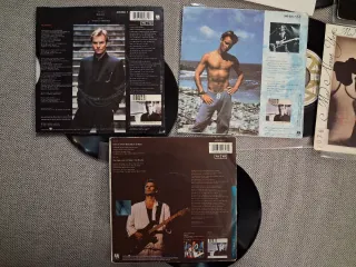 STING: lote 9 vinilos single