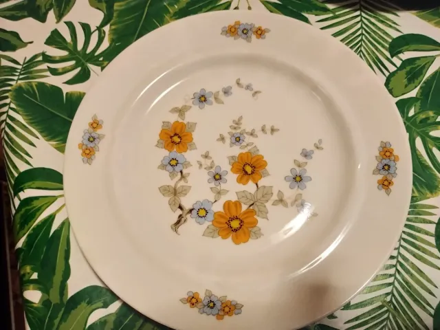 Set piatti porcellana decorati fiori