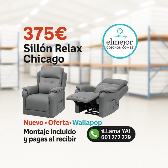 Sillon Relax Power Lift 2 motores USB Malaga Envio