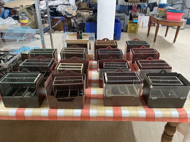 Jaulas para mixtos y jilgueros 