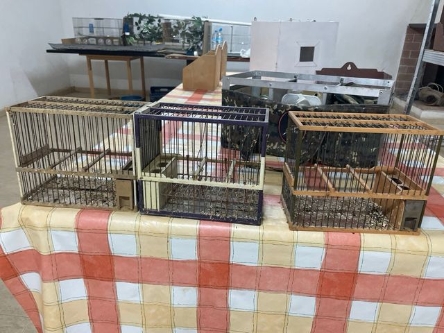 Jaulas para mixtos y jilgueros 