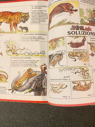 Mowgli,il figlio dei lupi