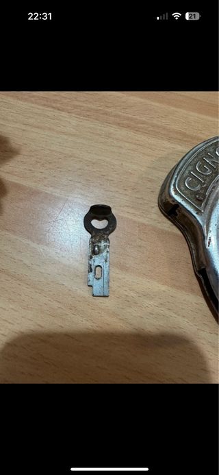 Lucchetto bici Cigno d'epoca