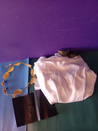 Disfraz Romano Hoja Dorada y Blanca