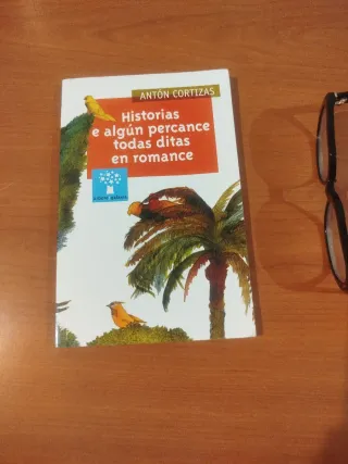 Historias e algun percance todas ditas en roman...