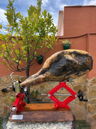 Jamonero Profesional CARHER94