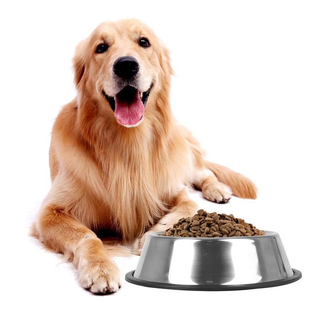 Cuenco Acero Inoxidable Antideslizante Mascota