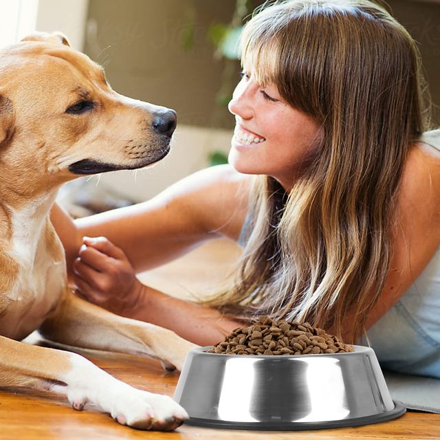 Cuenco Acero Inoxidable Antideslizante Mascota