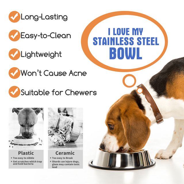 Cuenco Acero Inoxidable Antideslizante Mascota