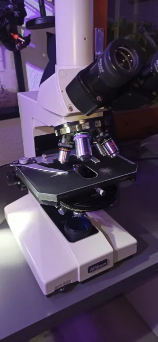 NIKON Labophot microscopio contraste de fase