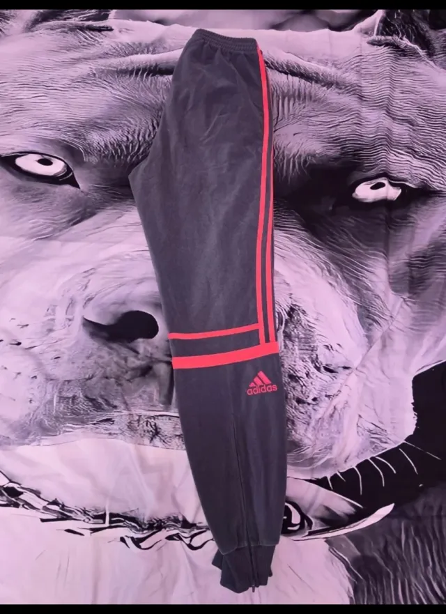 Pantalón chándal Adidas Challenger gris