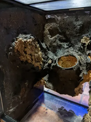 Terrario Exo Terra 30x30x45