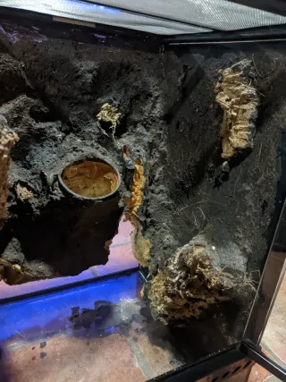 Terrario Exo Terra 30x30x45