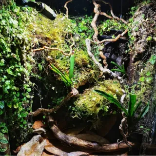 Terrario Exo Terra 30x30x45