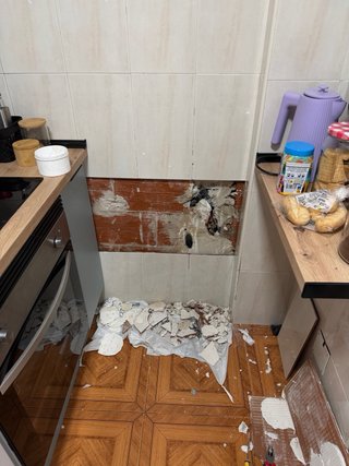 Manitas a domicilio
