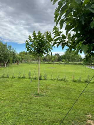 Terreno rústico en venta