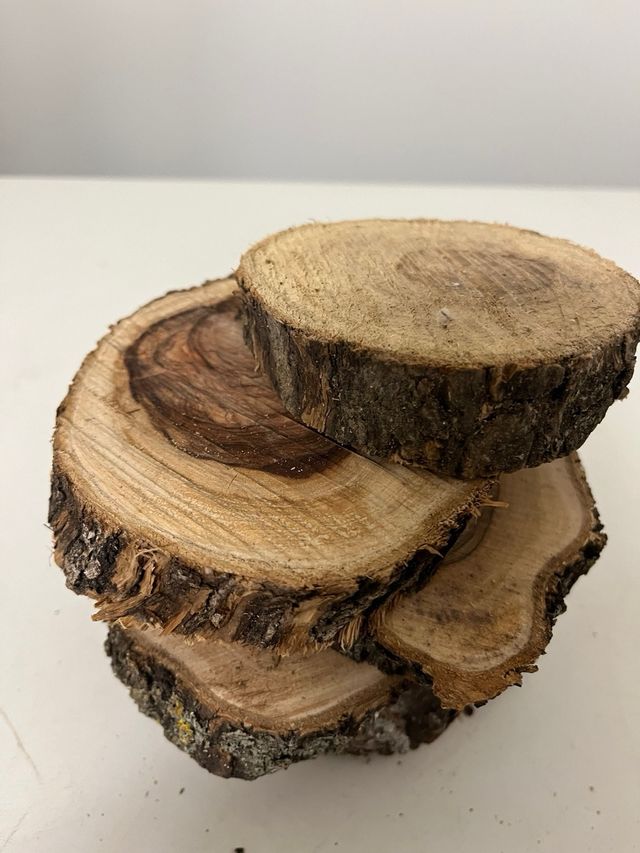 Lote 5 mini lajas madera olivo Milenario