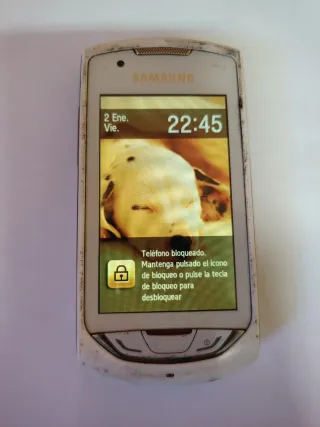 Samsung Teléfono Móvil Blanco/Plateado.