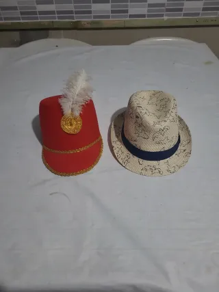 Lote 2 Sombreros