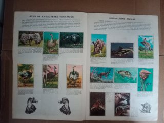 Album Los Animales en su Ambiente