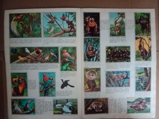 Album Los Animales en su Ambiente