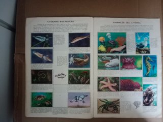 Album Los Animales en su Ambiente