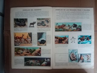 Album Los Animales en su Ambiente