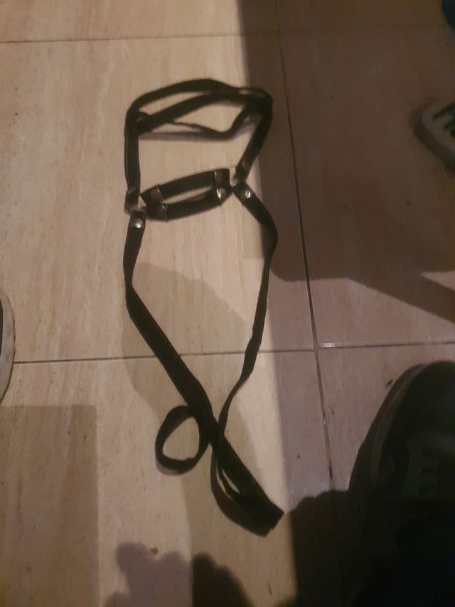 Arnés punk/sexi negro