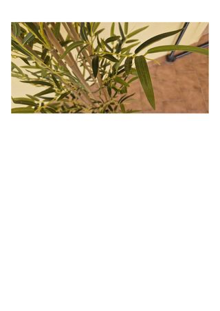 Plantas Artificiales Decorativas -  Tipo Árbol