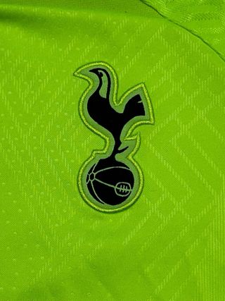 Felpa allenamento Tottenham Nike Verde