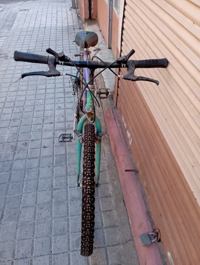 Bicicleta Tennessee Morada y Verde