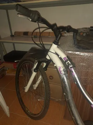 Bicicleta de montaña blanca y plateada