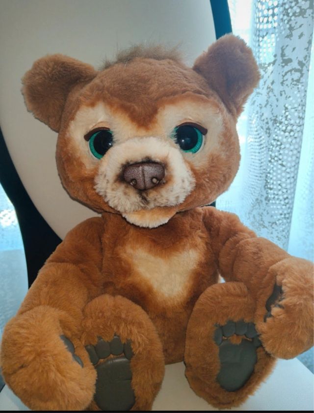 Oso de peluche cubby