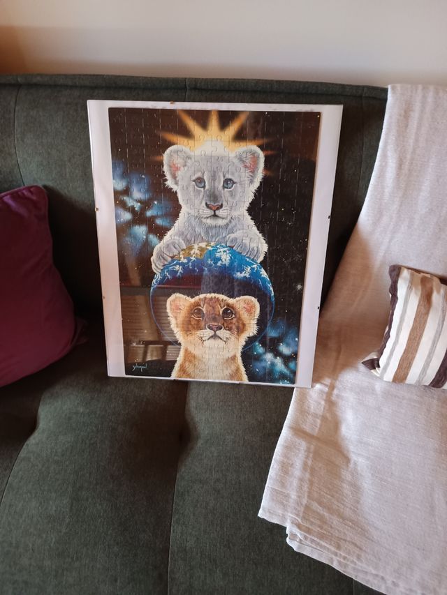 Cuadro Cristal Simba 40x50