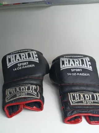 Guantes Boxeo Charlie 14 OZ Profesional
