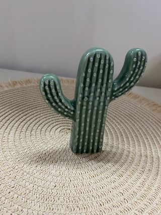 Cactus in ceramica