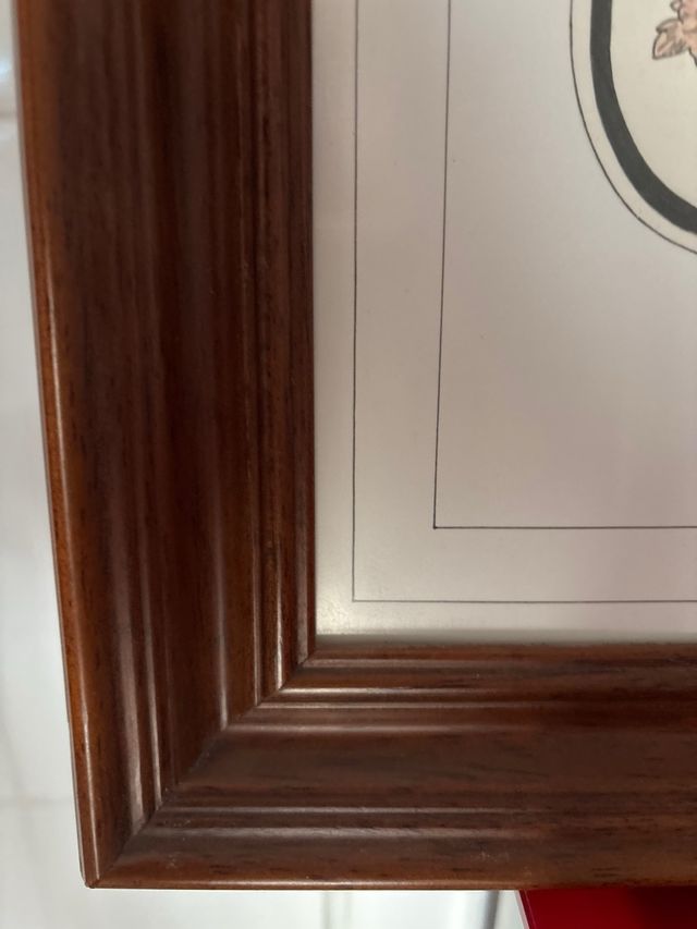 Cuadro Apellido Alonso Madera 37x27