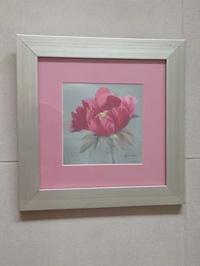 5 Láminas Decorativas con Marcos