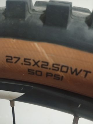 Bicicleta de descenso downhil