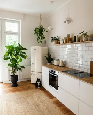 Revestimiento blanco mate 10x20 biselado