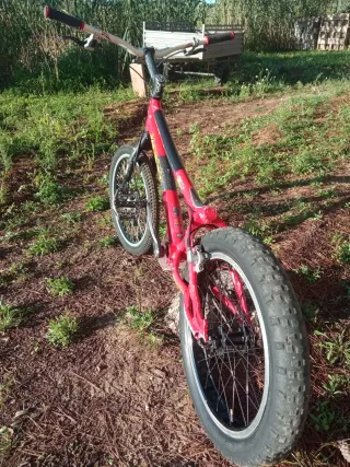 Bici Trial Monty 221PR