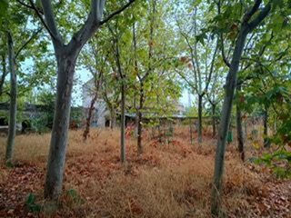 Nave industrial en venta en Almendralejo