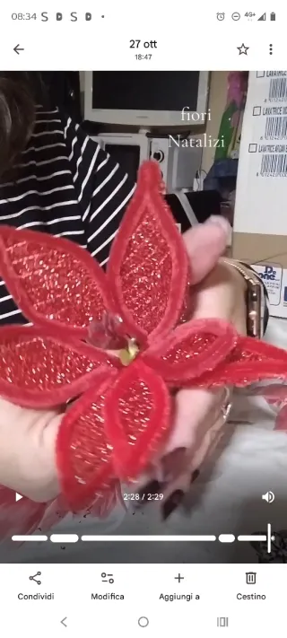 Fiori Natalizi Rossi