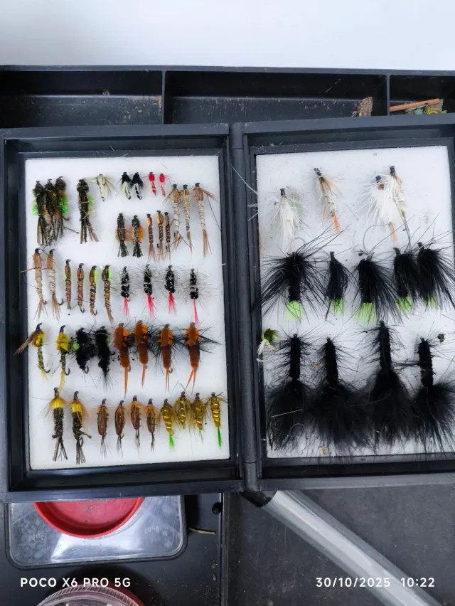 Scatola da pesca con mosche e attrezzatura