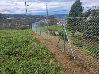 Limpieza de jardinería y albañilería básica