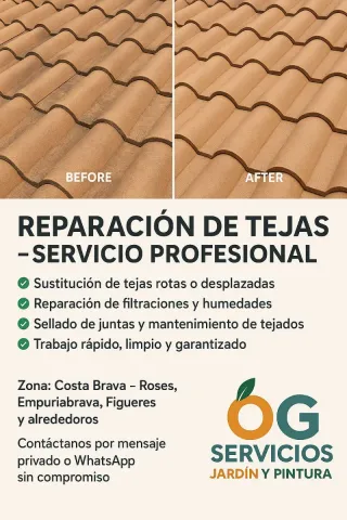 REPARACIÓN DE TEJAS - SERVICIO PROFESIONAL* 